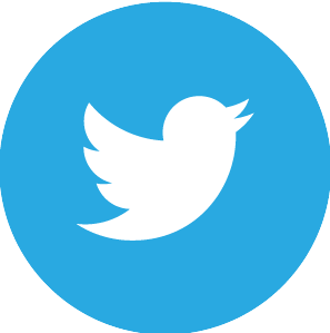 twitter icon